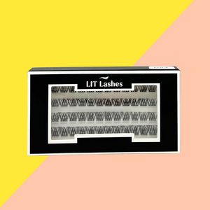 D04 Lightly LIT