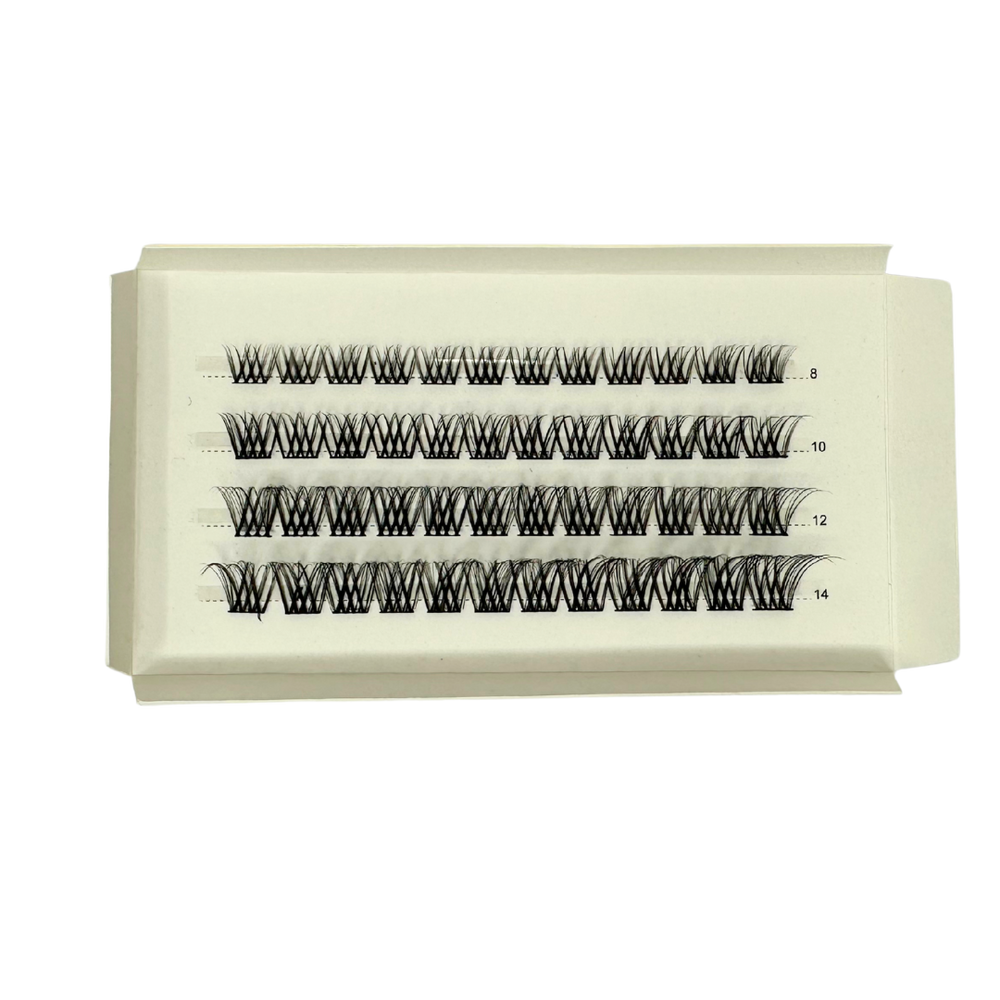 D04 Lightly LIT
