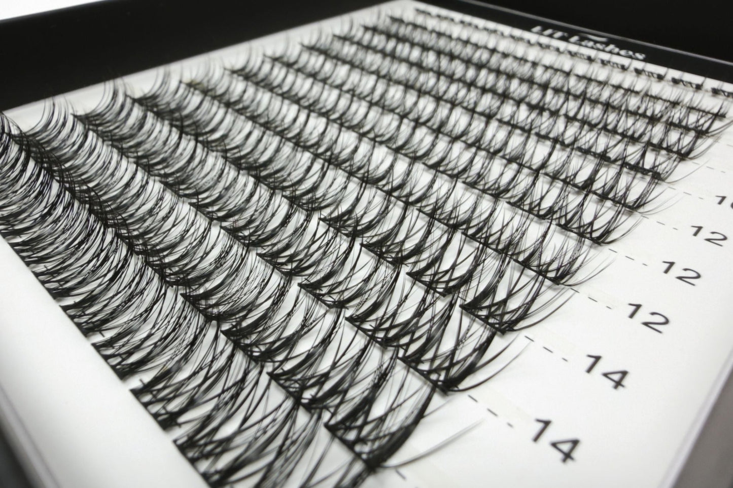 LIT Lashes Starter Pack - LushVamp Curve D+ - LIT Lashes