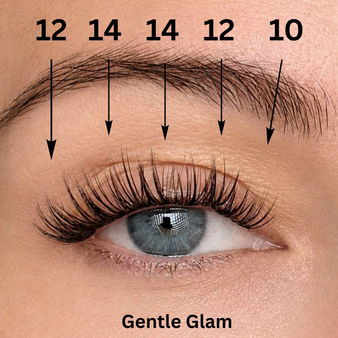 LIT Signature Starter Set, Glued Lashes, 5 Boxes - LIT Lashes