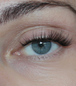 Dolly Dash - Mixed Lenght Pre Glued