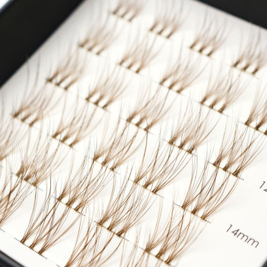Beau Regard - Mixed Length Glued Lashes BROWN - LIT Lashes