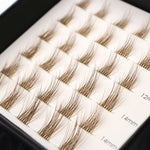 Bijou Kiss - Mixed Length Glued Lashes BROWN
