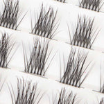 Calm Crush - Mixed Length Glued Lashes