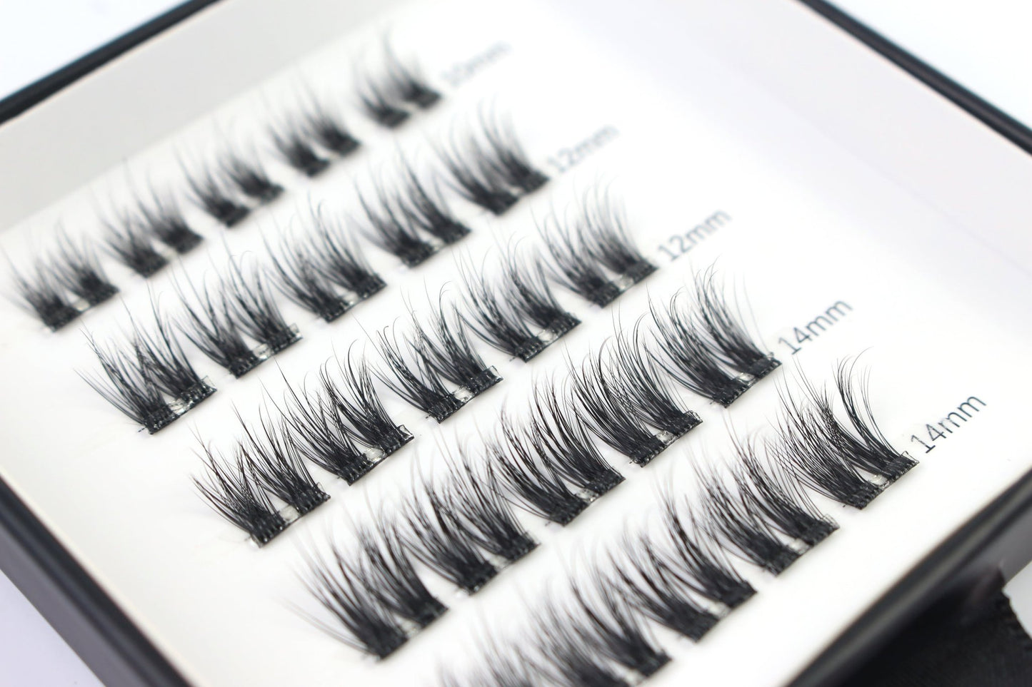 Dolly Dash - Mixed Lenght Pre Glued - LIT Lashes