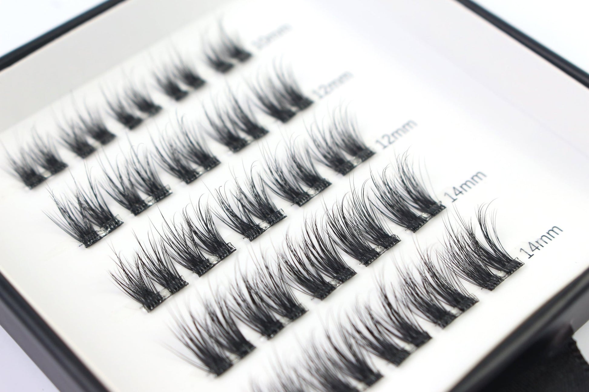 Dolly Dash - Mixed Lenght Pre Glued - LIT Lashes