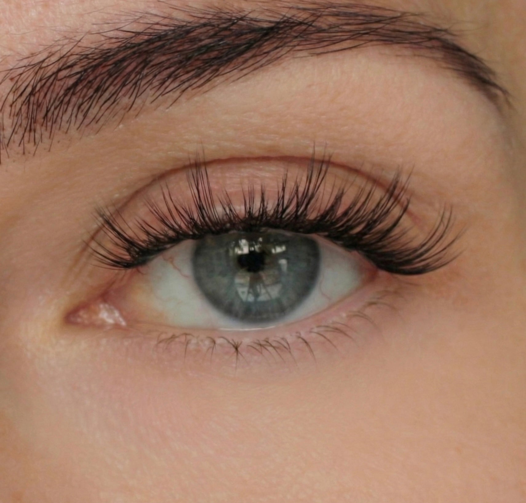 Dream Drip - Mixed Lenght Pre Glued - LIT Lashes