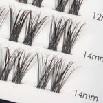 Gentle Glam - Mixed Length Glued Lashes