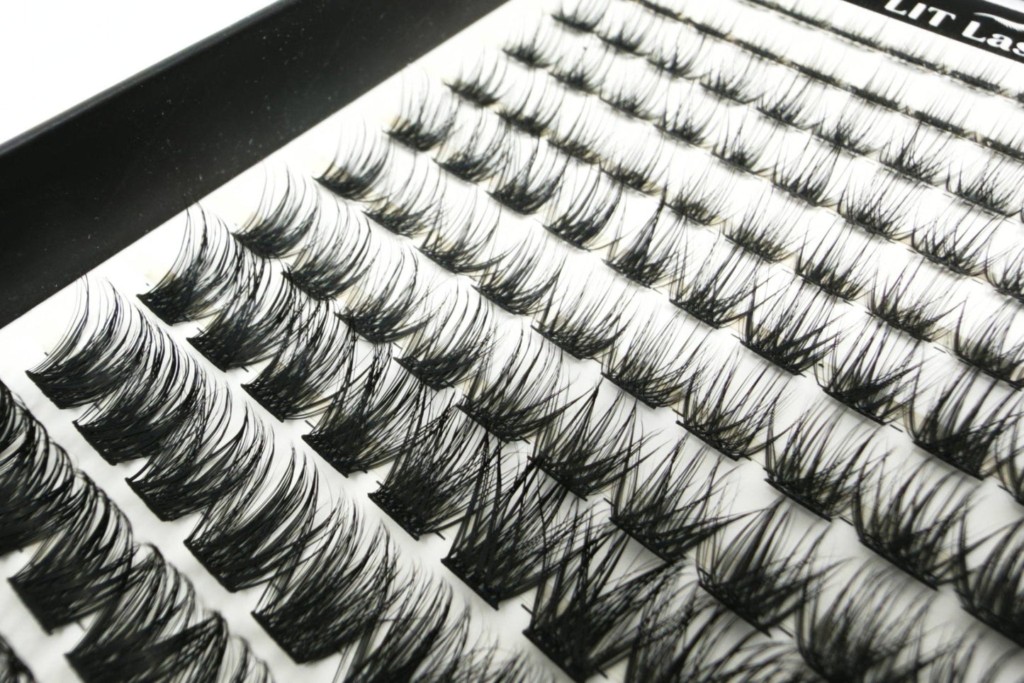 LIT Lashes Starter Pack - BoujeeBabe Curve D+ - LIT Lashes