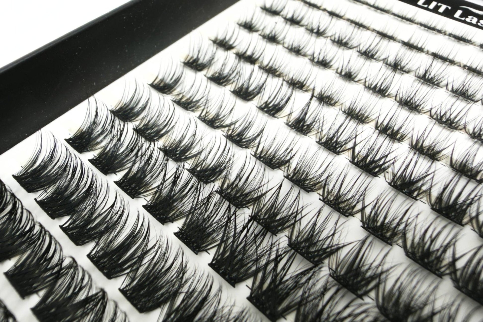 LIT Lashes Starter Pack - BoujeeBabe Curve D+ - LIT Lashes