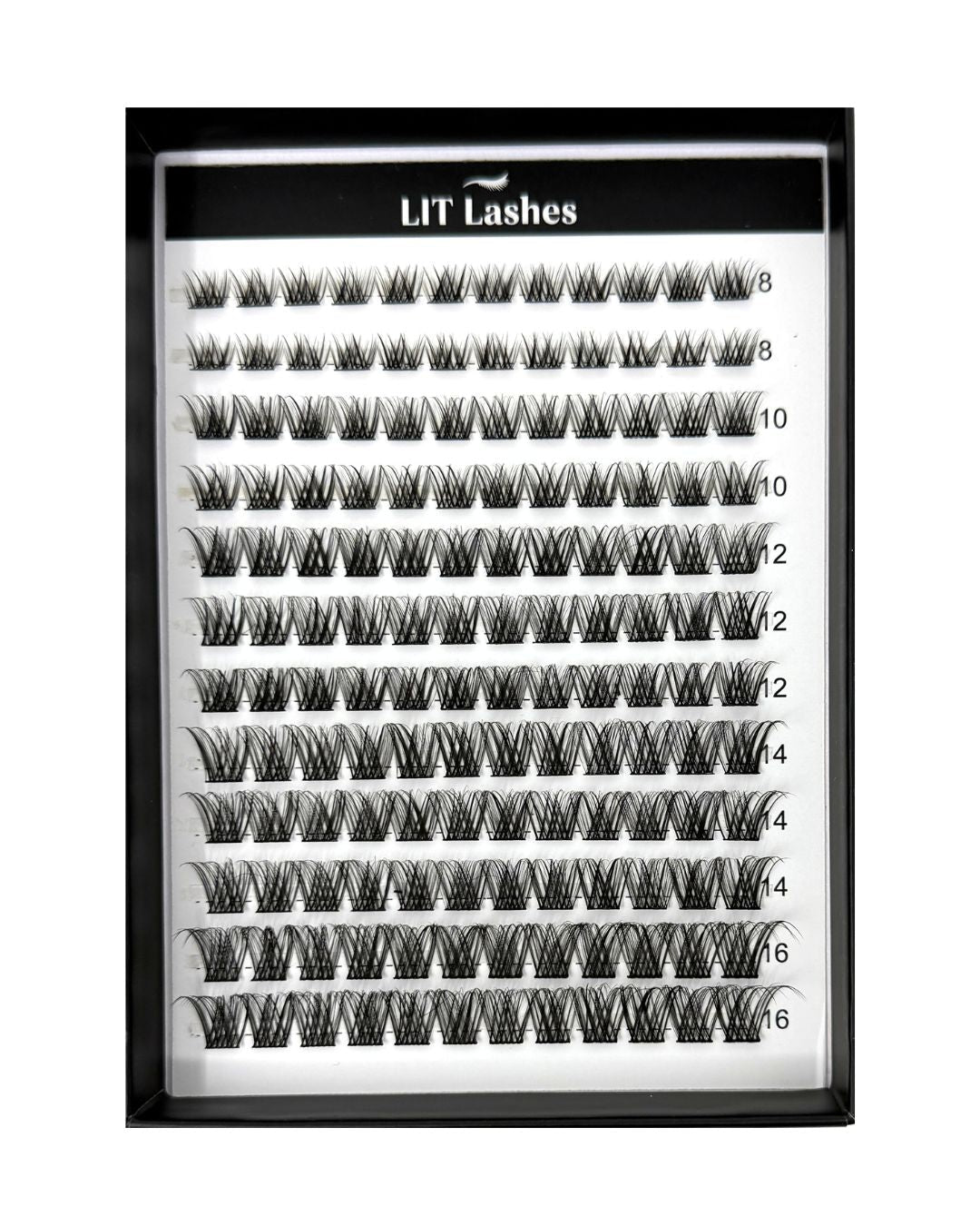 LIT Lashes Starter Pack - Cloud Nine Curve D+ - LIT Lashes