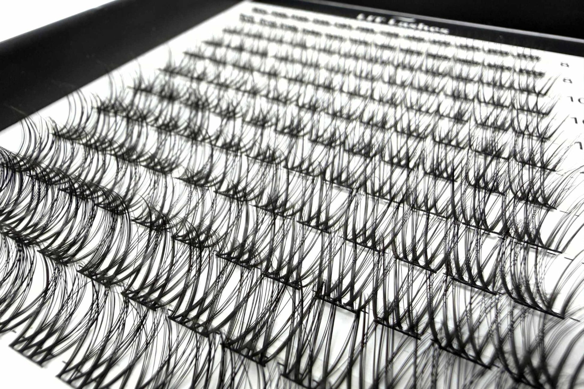 LIT Lashes Starter Pack - Lightly LIT Curve D+ - LIT Lashes