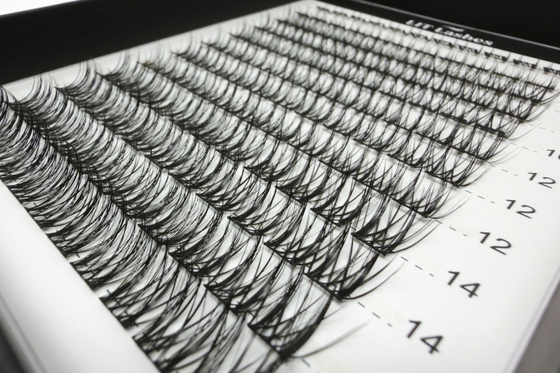 LIT Lashes Starter Pack - LushVamp Curve D+ - LIT Lashes