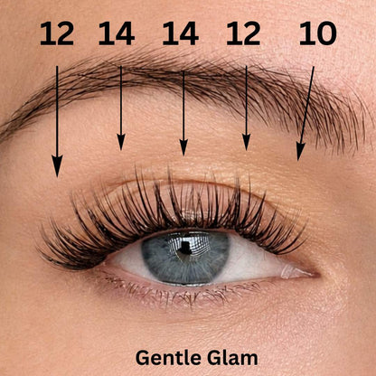 LIT Signature Starter Set, Glued Lashes, 5 Boxes - LIT Lashes