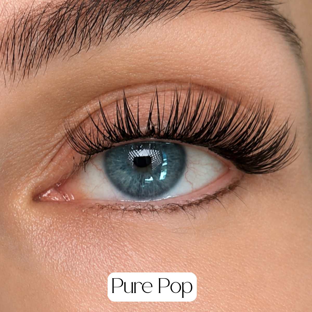 Pack of 1 - Glued Cluster Lashes - LIT Lashes