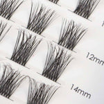 Pure Pop - Mixed Length Glued Lashes