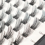 Pure Pop - Mixed Length Glued Lashes