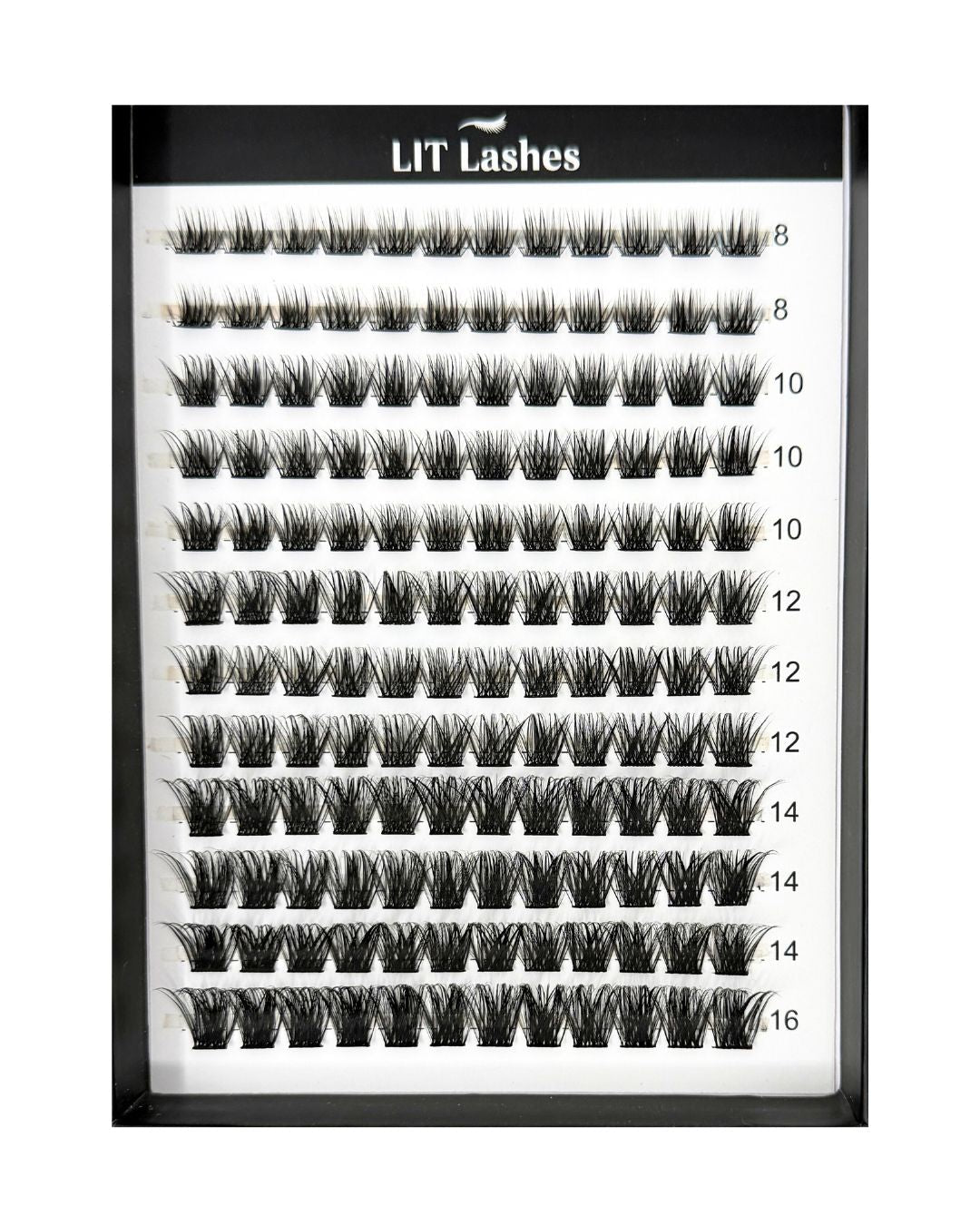 Refill Kit - BoujeeBabe Curve D+ - LIT Lashes