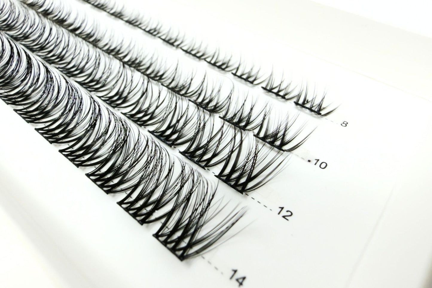 Refill Kit - Lightly LIT Curve D+ - LIT Lashes