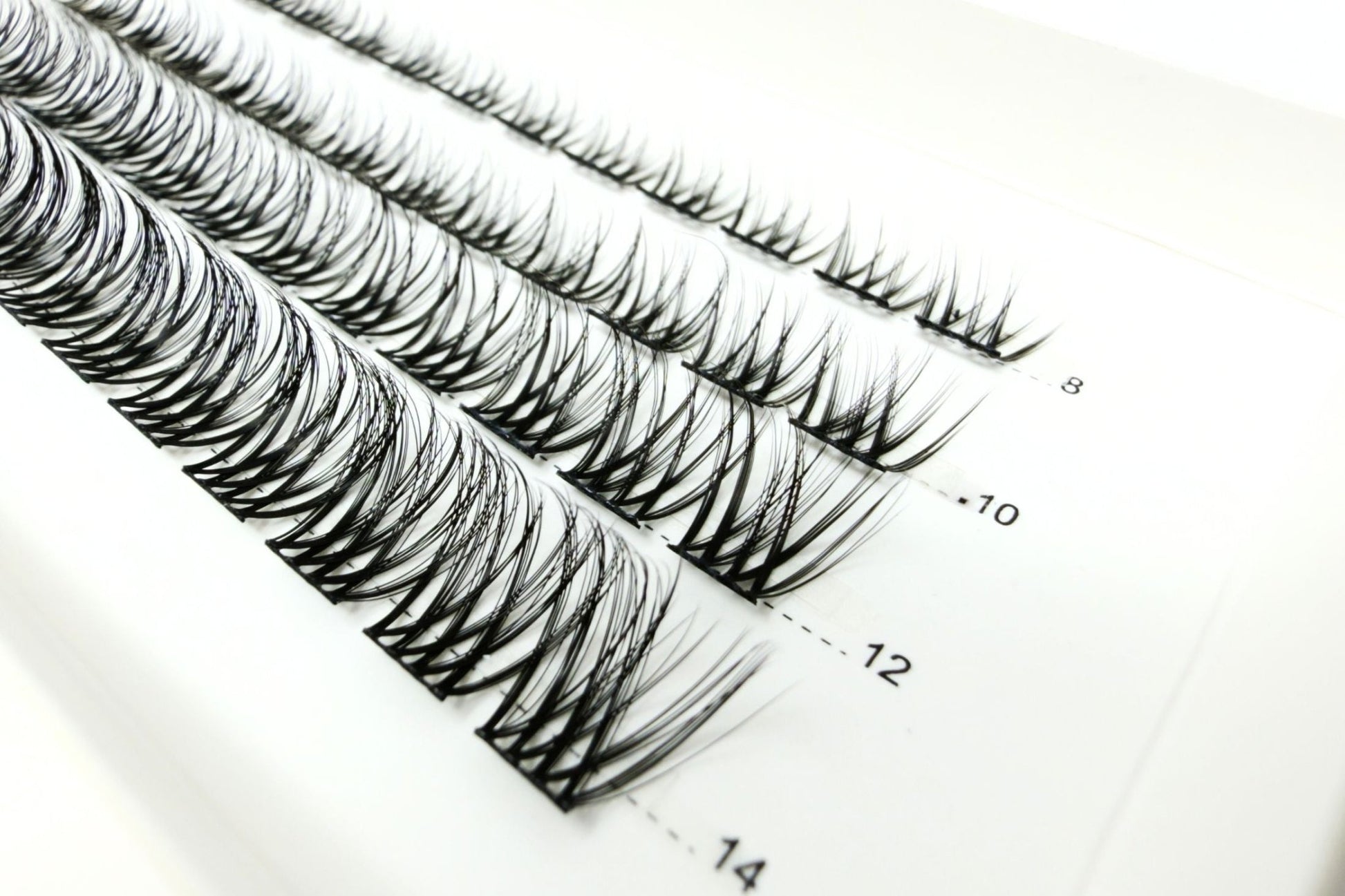 Refill Kit - Lightly LIT Curve D+ - LIT Lashes