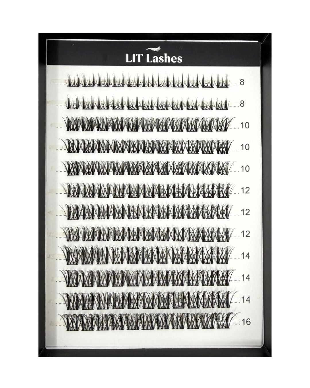 Refill Kit - LushVamp Curve D+ - LIT Lashes