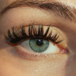 Snap Glam - Mixed Length Press-On Lashes