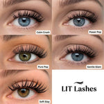 Calm Crush - Mixed Length Glued Lashes